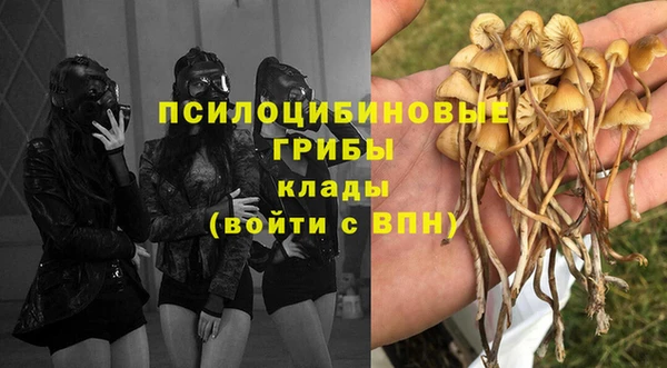 дмт Приозерск