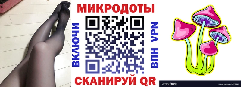 Псилоцибиновые грибы GOLDEN TEACHER  сайты даркнета официальный сайт  Алдан 